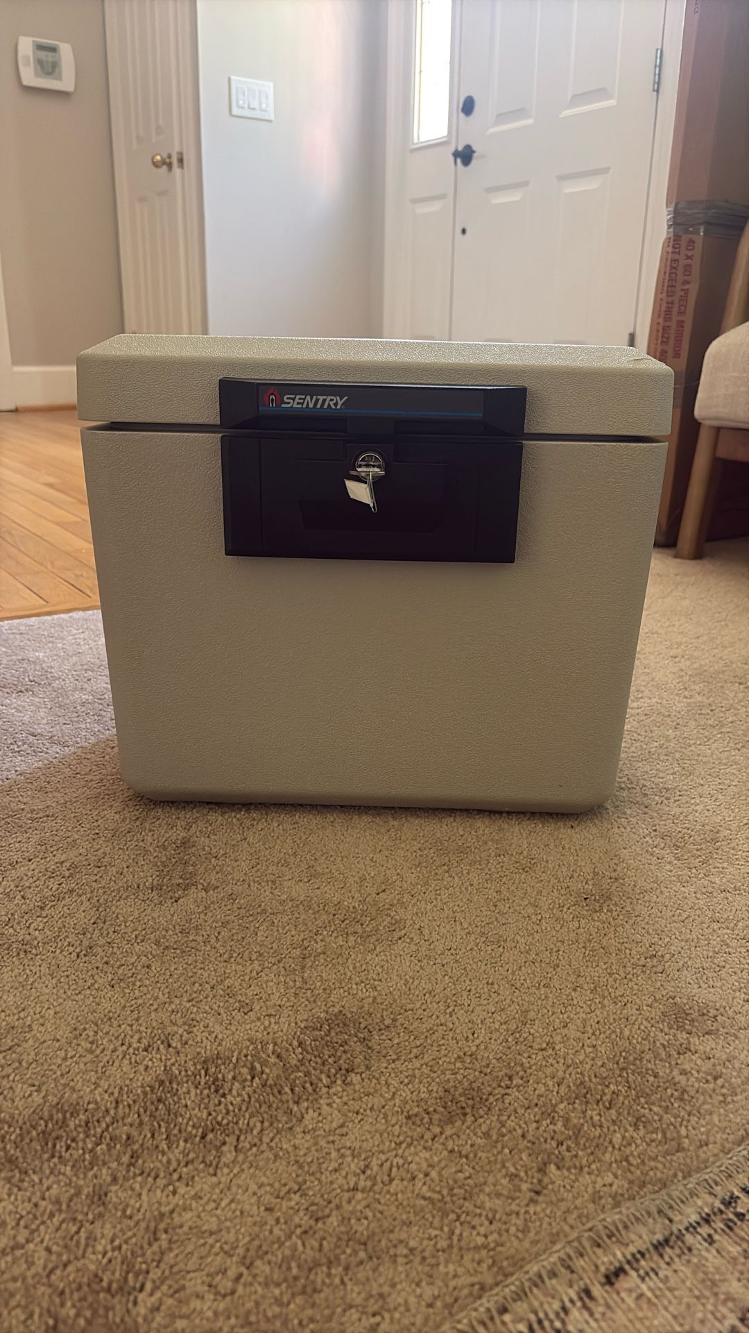 Sentry Fire Safe
