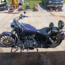 2008 Harley Davidson 1200 Low 12000 Miles