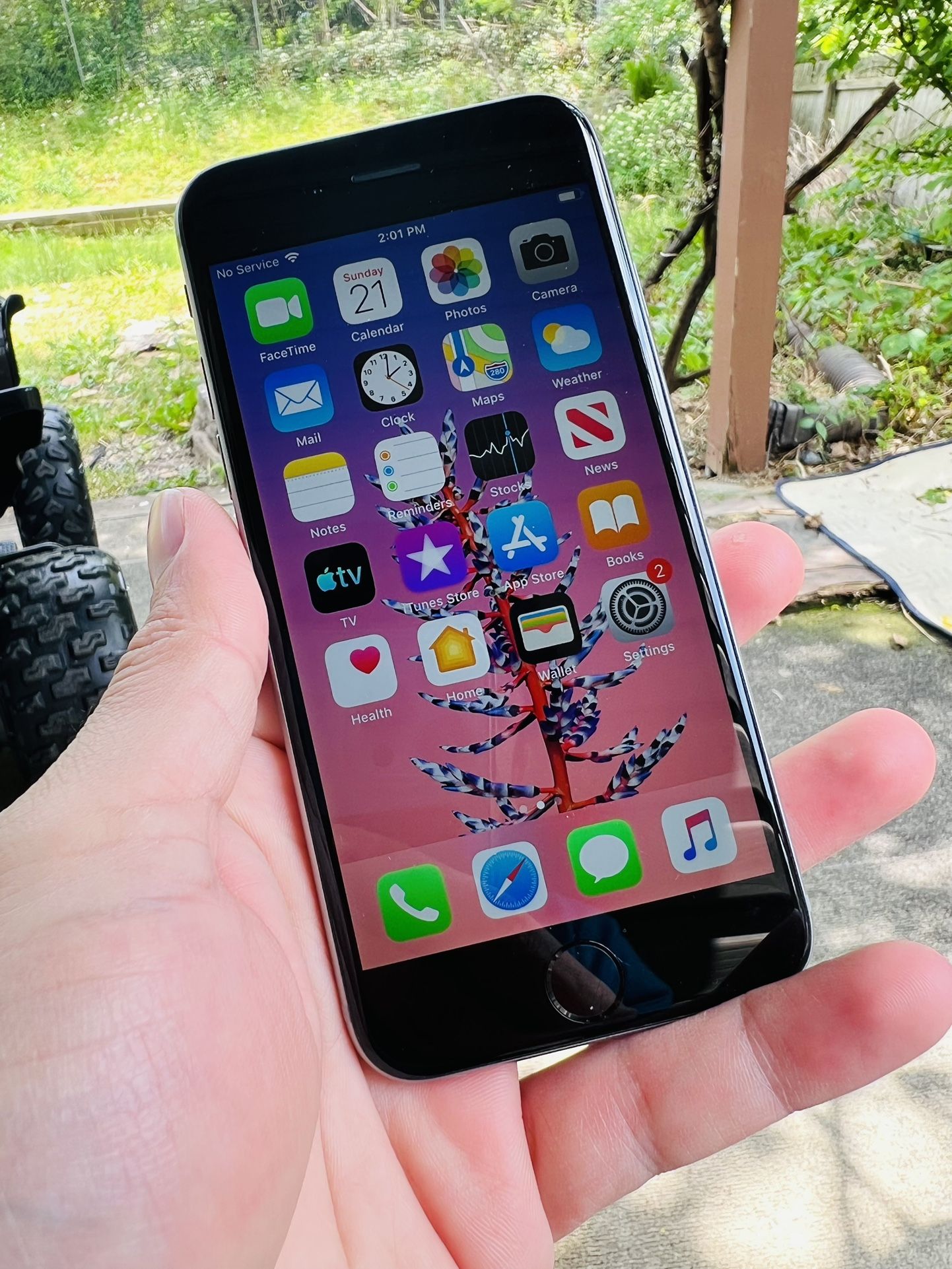 iPhone 6