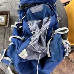 Hiking JanSport 78 Backpack Great Condition 