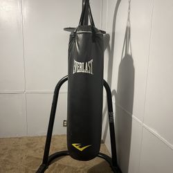 Professional Punching Bag 