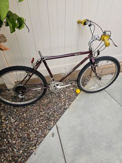 Vintage Schwinn, Sierra.