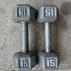 15lb Dumbbell Pair