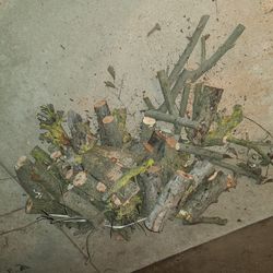 Cut Fire Wood