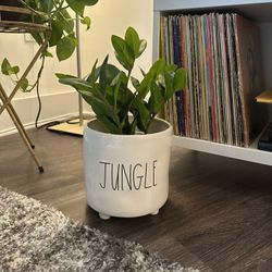 Plant Pot + Fake Plant 