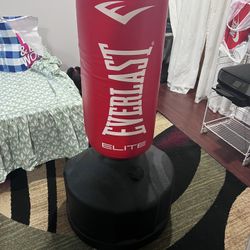 Everlasting Punchingbag