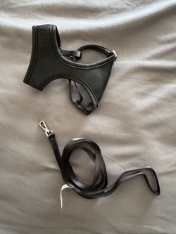Cat Harness + Leash (Black, Mesh)