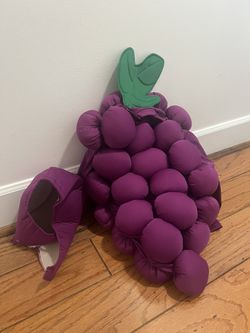 Toddler Purple Grape Costume, with full sleeves and a matching Hat!
