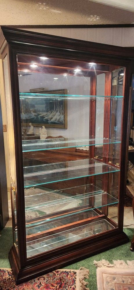 Beautiful Curio Cabinet Lighted