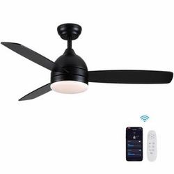Celling Fan