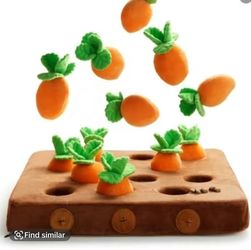 12 Pc Carrot Treat Hiding Toy