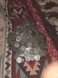 Large Lot of Buffalo Nickels