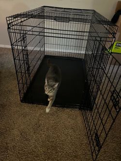 Concetta 48” Dog Crate
