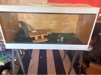 Custom 4'x2'x2' Reptile Enclosure with Stand & Lighting – $450 OBO