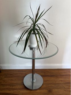Plant