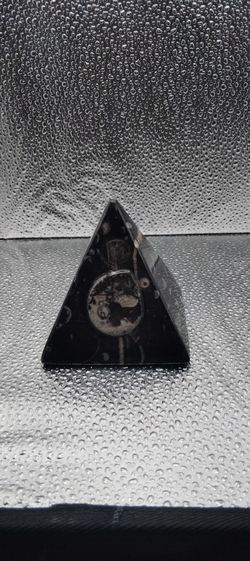 Pyramid Orthoceras With Ammonit Fossil 