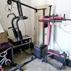 Home Work Out Gym Station