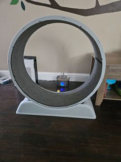 Cat Wheel