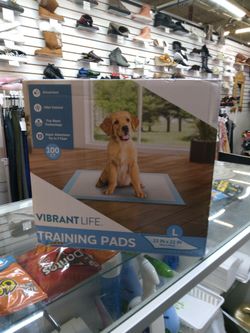Dogs Training Pads In College Park Today 