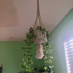 Hanging Artificial Plant