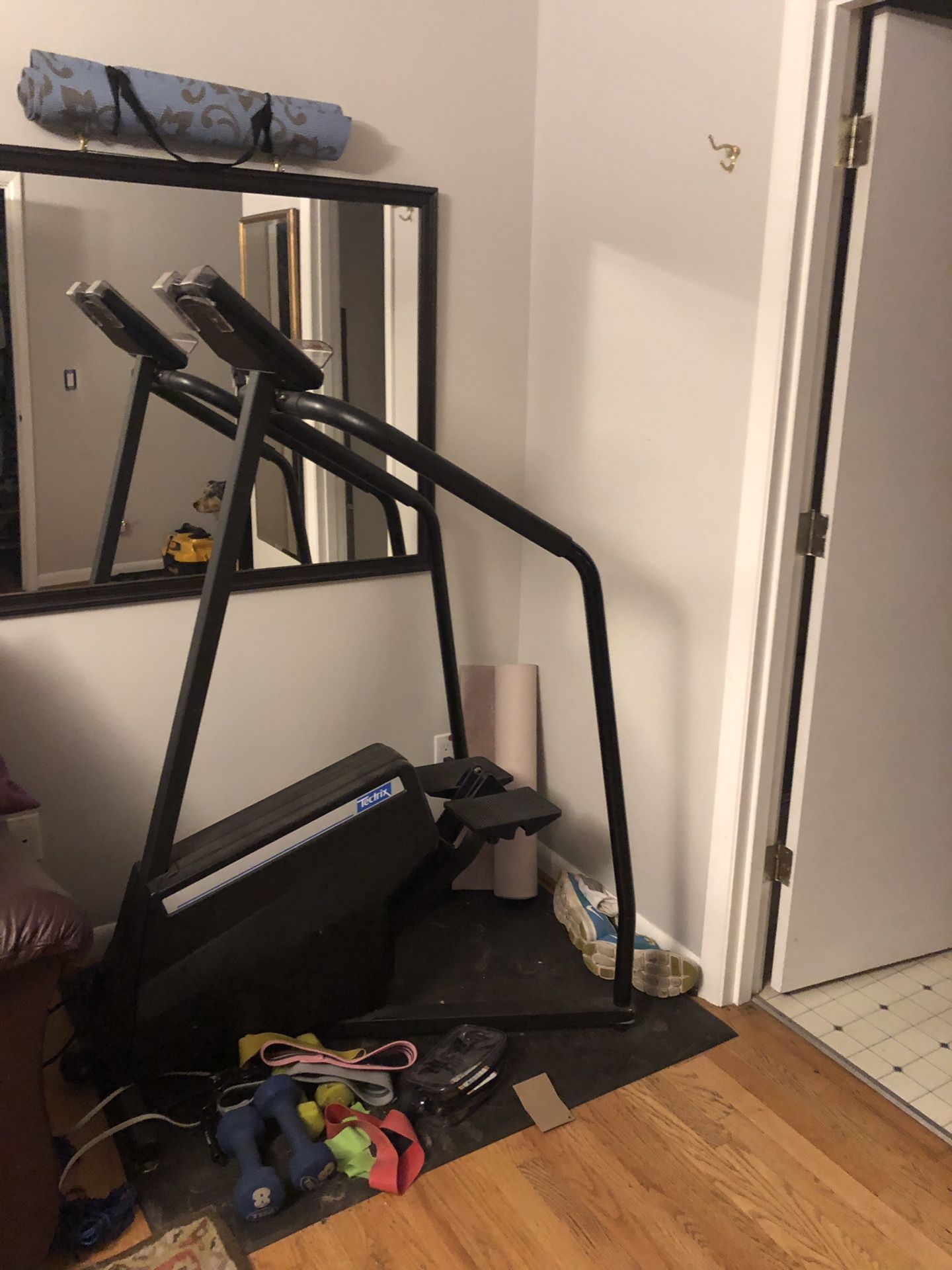 Tecktrix personal climber - just like stair Master! 60$ come get her๐๐พ๐ช๐ฝ