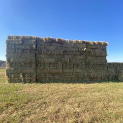 Grass Hay