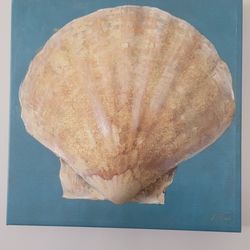 Sea Shell on Blue Canvas