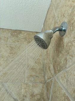 Moen Basic Shower Head