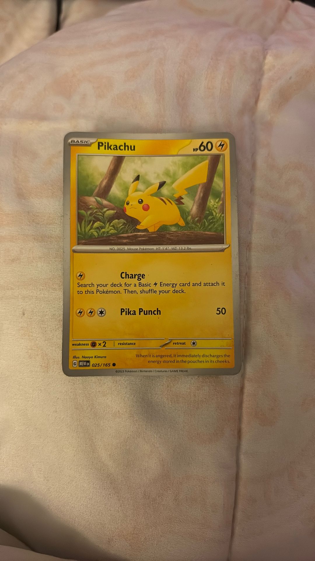 Pokémon Card