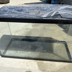 40 Gallon Fish Tank 