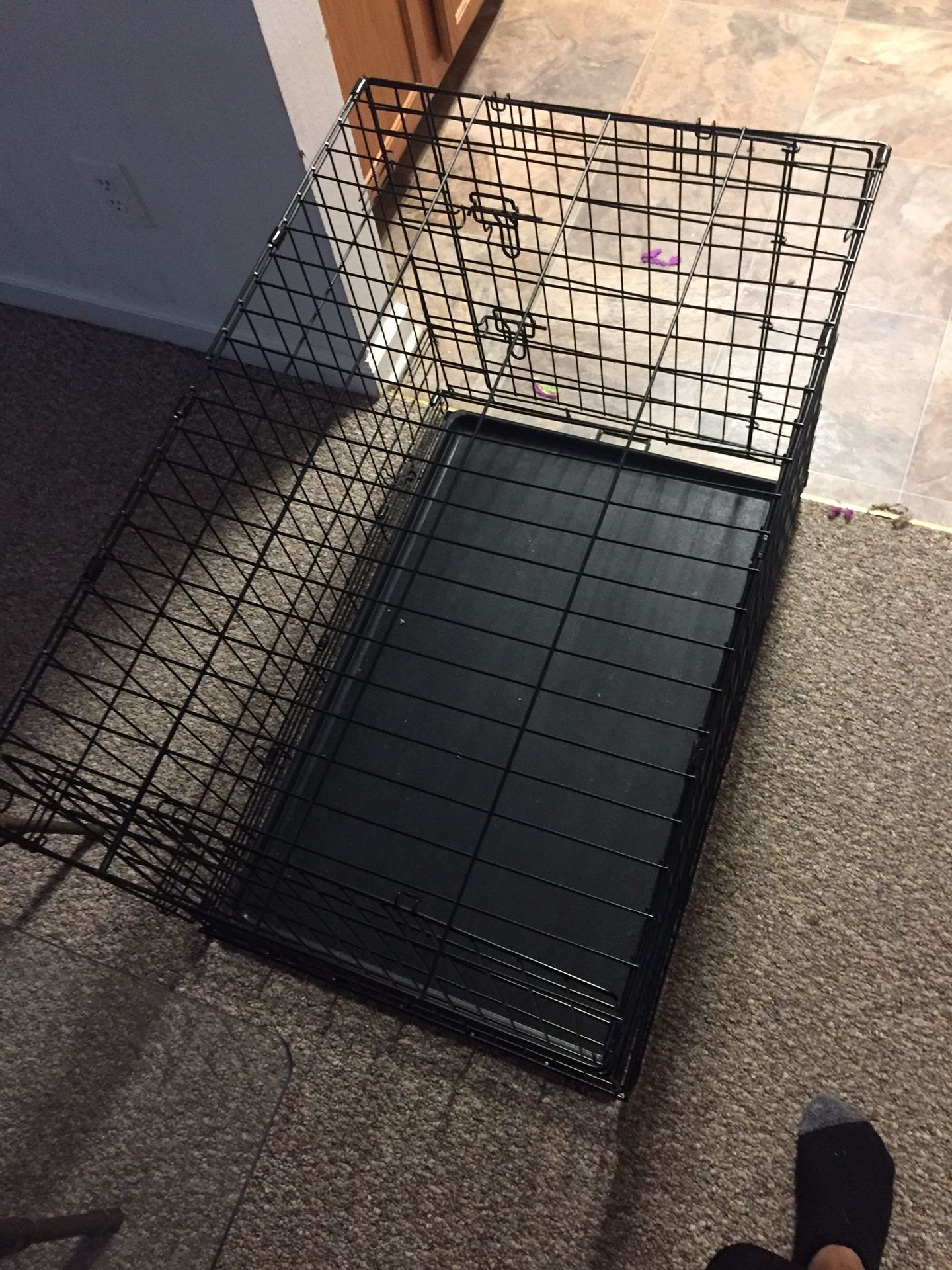 Large dog crate