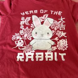 Ladies Shirt 