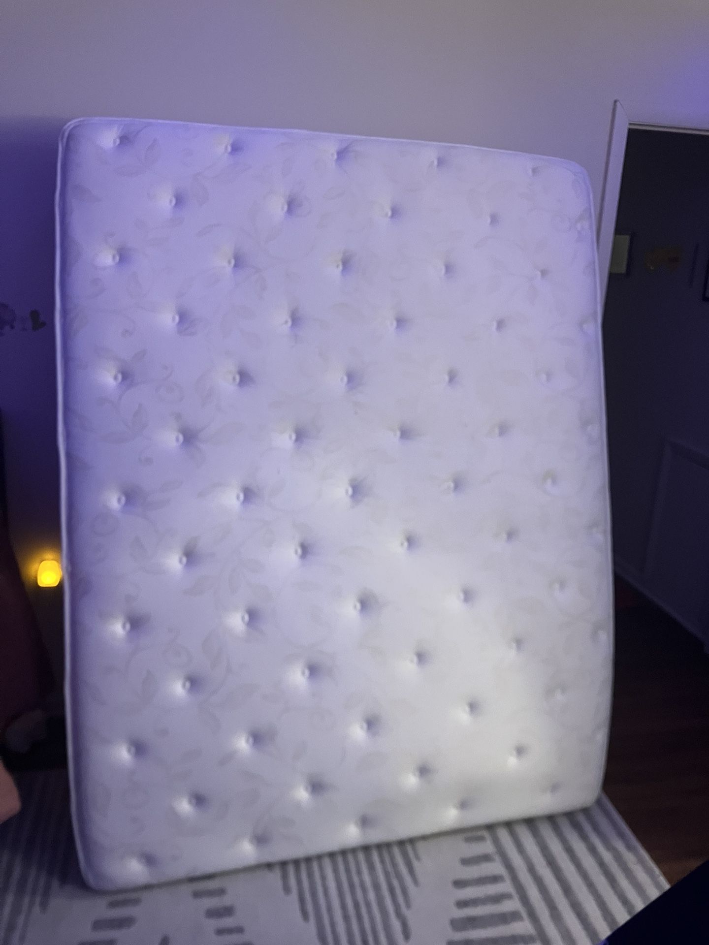 Queen Mattress, Box Springs, Simple Metal Frame, And Headboard