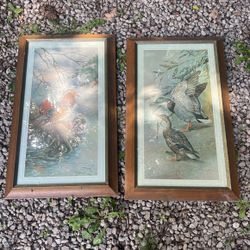 Basil Ede Prints Large