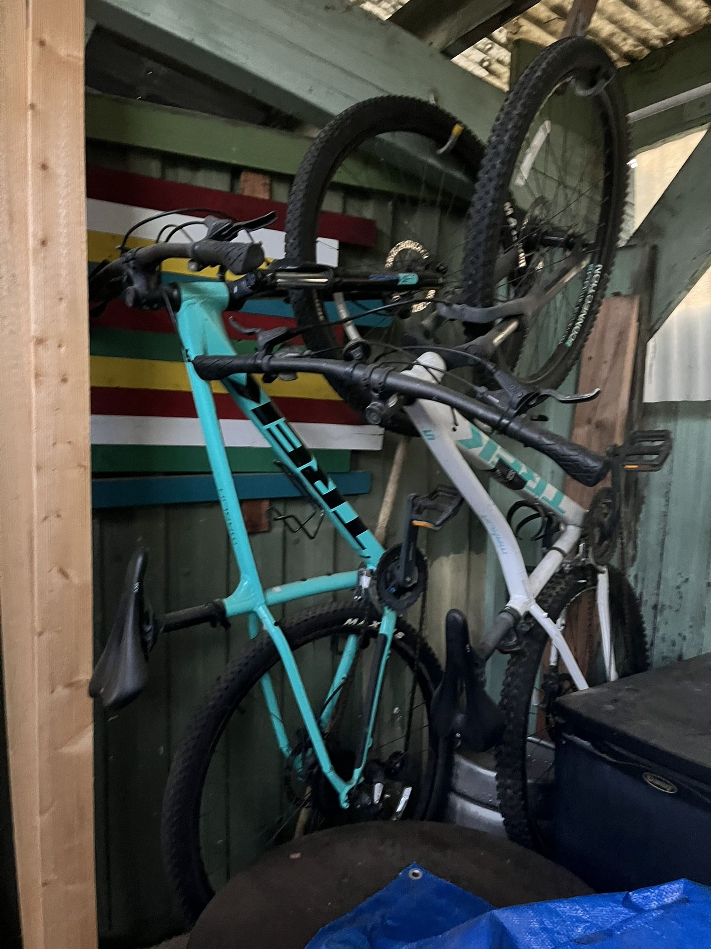 trek marlin 5 and 6