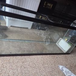 Aquarium fifty five gallon and the stand to go with it