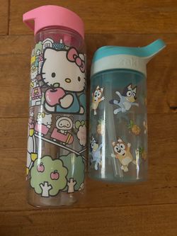 Hello Kitty and Bluey Water Bottle