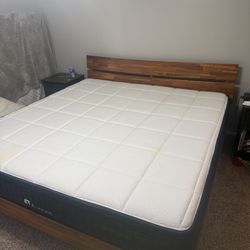 Bed Frame With Free king mattress