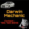 Darwin Mechanic