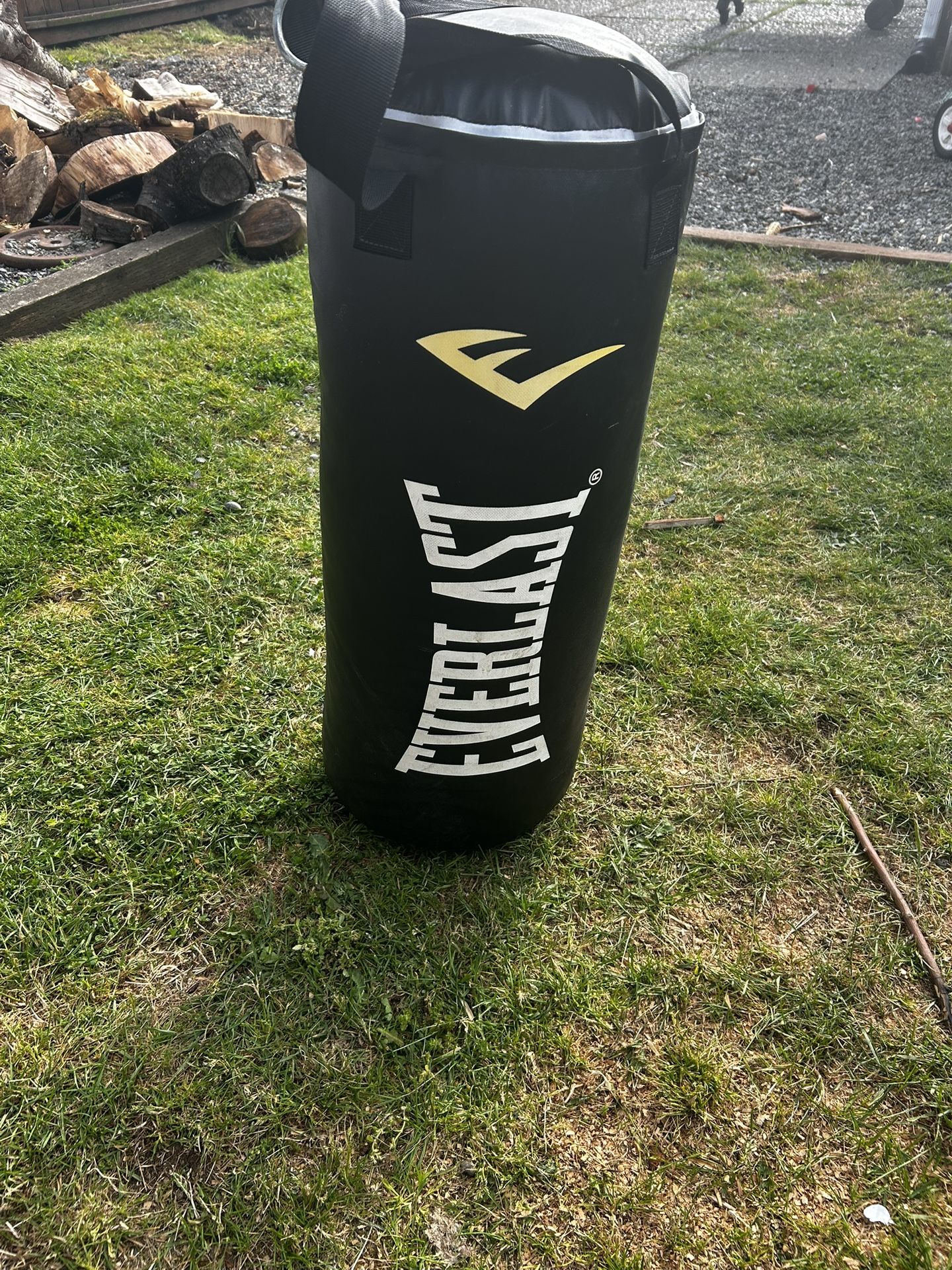 Everlast 40 Pound Punching Bag