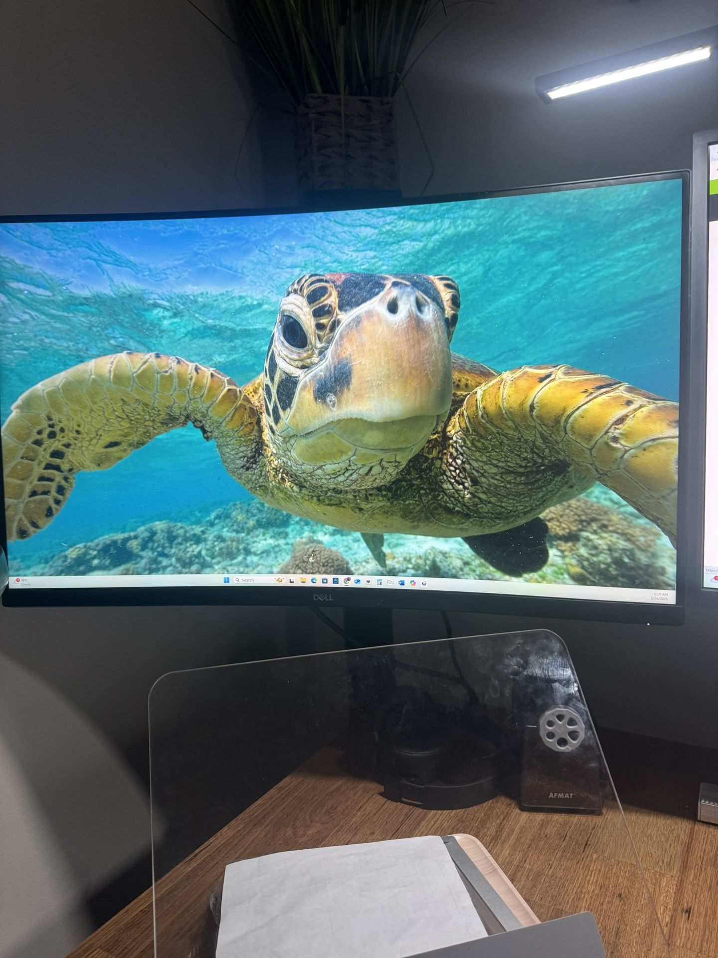 Dell 4k monitor 32 Inch