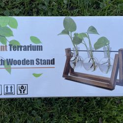 New Unused Plant Terrarium With Wooden Stand 