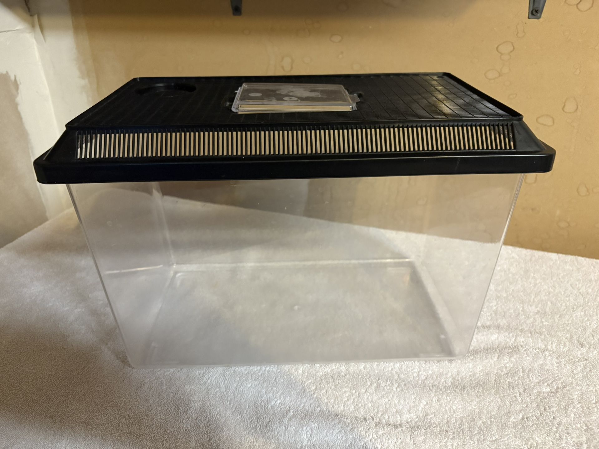 Small Fish Tank