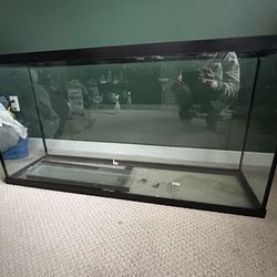 60 Gallon Tank And Stand 