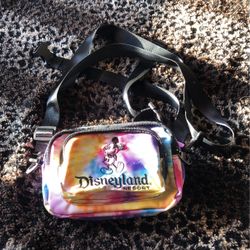 Disneyland Resort Handbag 