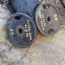 Golds Gym 45 pound plates