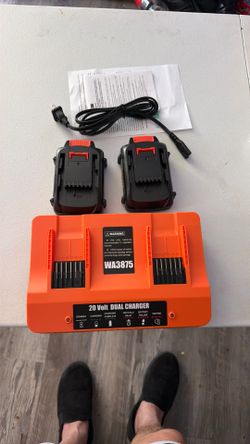 Worx 20 volt Dual charger kit