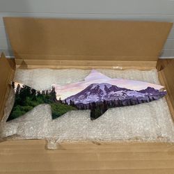Mount rainier Metal Trout Wall Art 