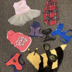 Dogs Size Small Clothes And Harness