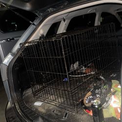 Large Dog Cage 